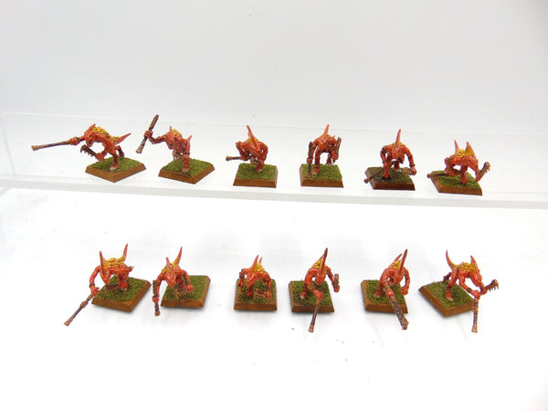 Skinks