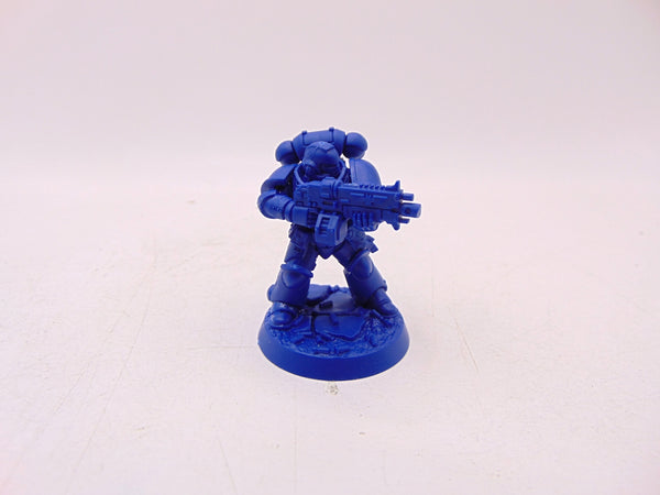 Brother Vignius