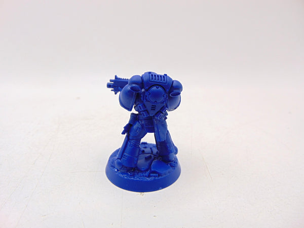 Brother Vignius