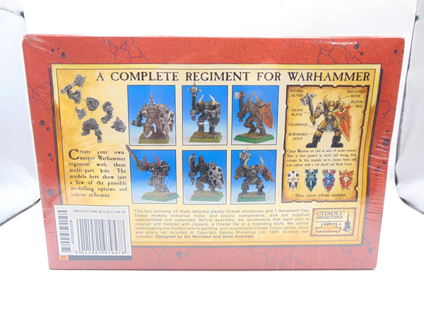 Chaos Warriors Regiment