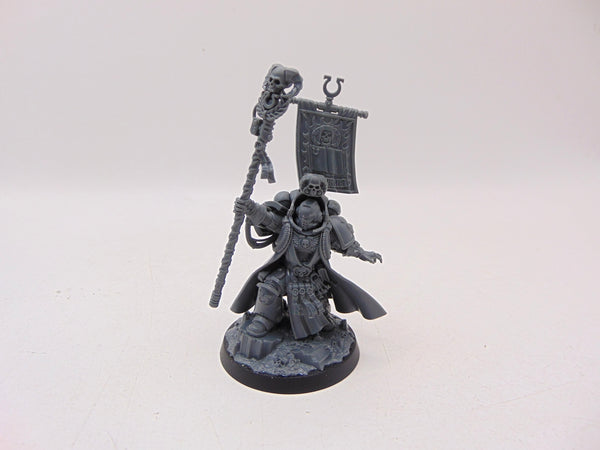 Chief Librarian Tigurius