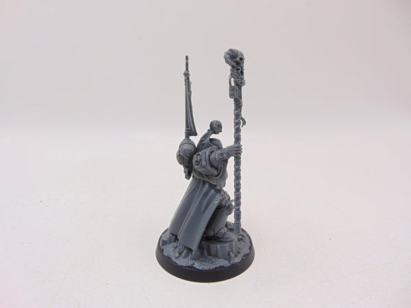 Chief Librarian Tigurius