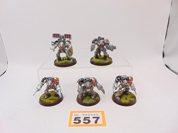 Terminator Assault Squad