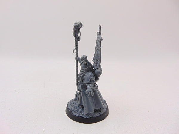 Chief Librarian Tigurius