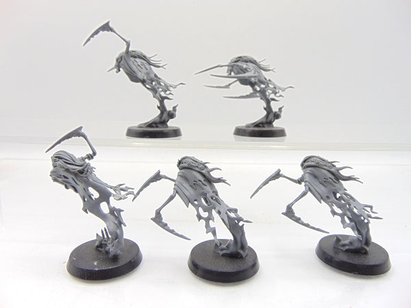 Dreadscythe Harridans