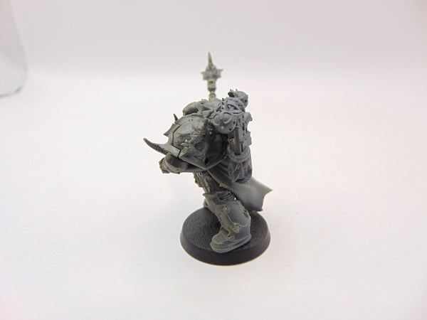 Chosen Champion Draznicht