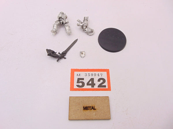 Brotherhood Terminator with Incinerator