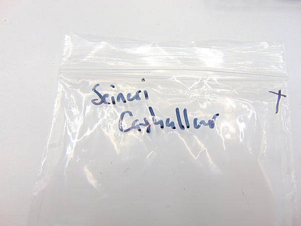 Scinari Cathallar