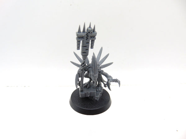 Skink Starpriest