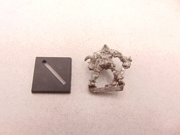 C35 Chaos Warrior Fenris