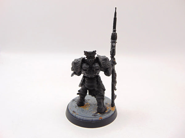 Shield Captain Valerian