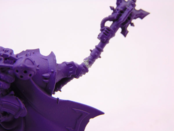 Chosen Champion Draznicht