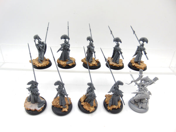 Vanari Auralan Wardens