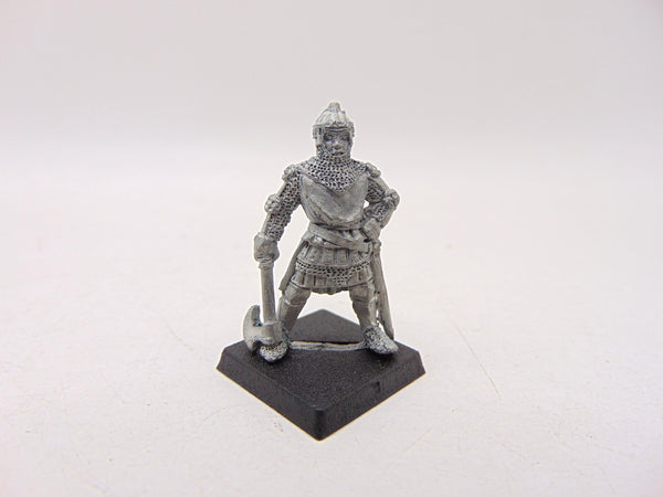 Bretonnian Knight