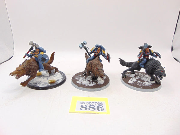 Thunderwolf Cavalry
