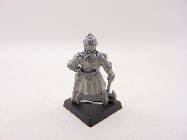 Bretonnian Knight