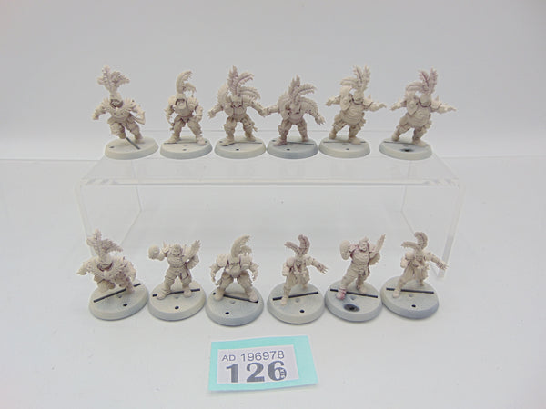 Imperial Nobility Blood Bowl Team