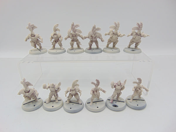 Imperial Nobility Blood Bowl Team