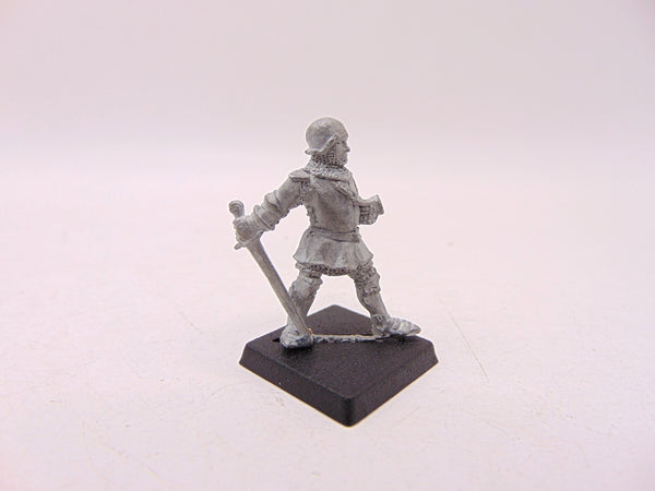 Bretonnian Knight
