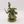 Plague Marine Champion