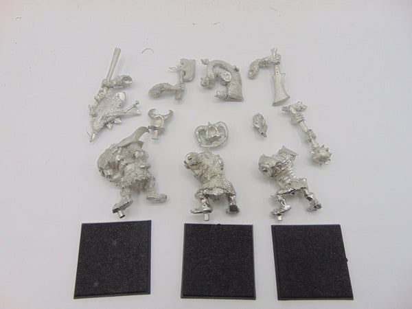 Chaos Ogre Command