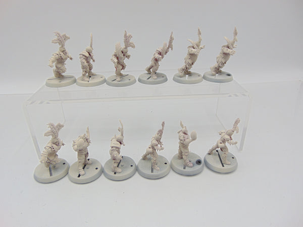 Imperial Nobility Blood Bowl Team