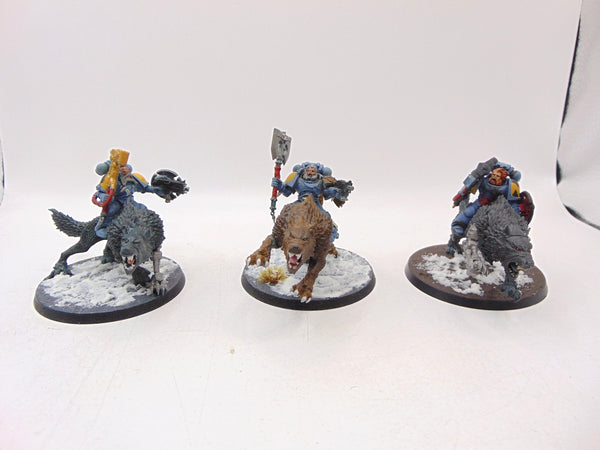 Thunderwolf Cavalry