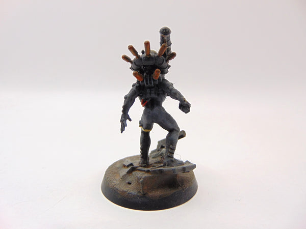 Culexus Assassin
