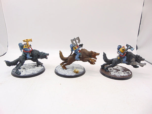 Thunderwolf Cavalry
