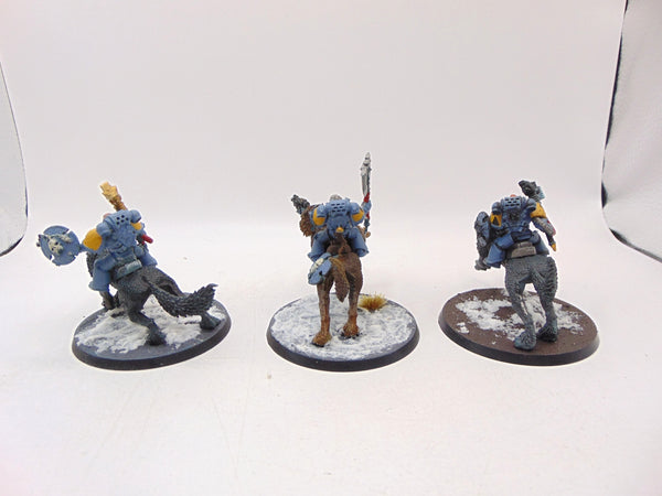 Thunderwolf Cavalry
