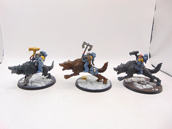 Thunderwolf Cavalry