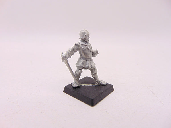 Bretonnian Knight