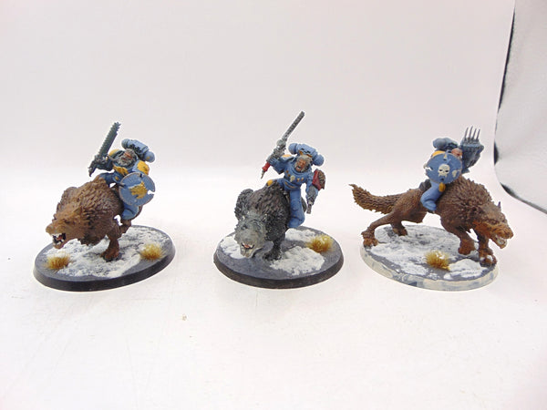 Thunderwolf Cavalry