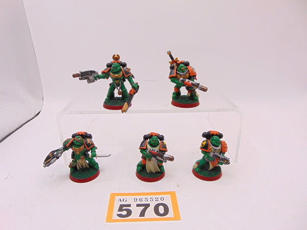Sternguard Veterans
