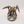Carnifex