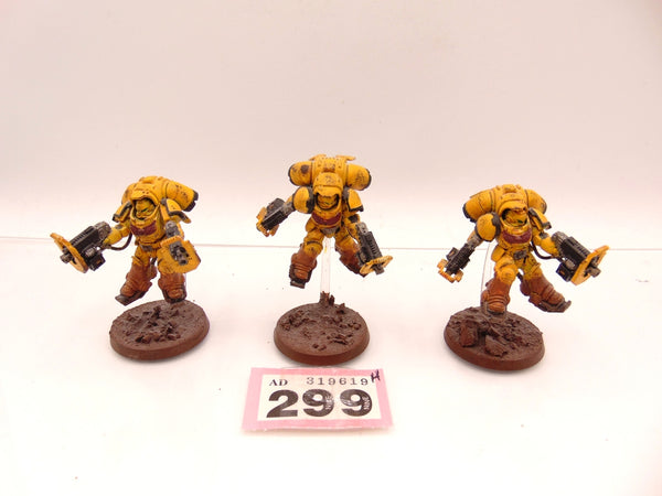 Inceptors