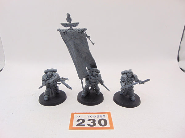Victrix Honour Guard