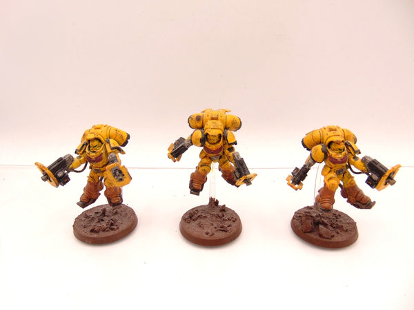 Inceptors
