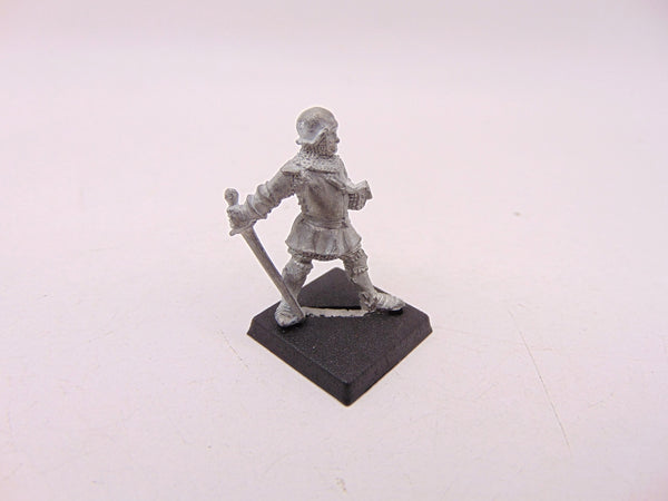 Bretonnian Knight