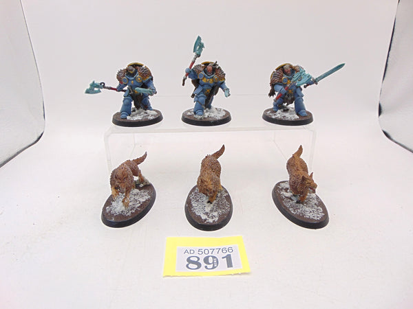 Wolf Guard Headtakers