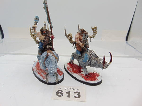 Mournfang Cavalry Pack