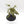 Chaos Spawn