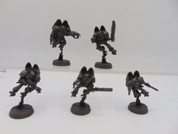 Raptors