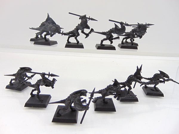Skinks