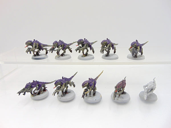 Termagants