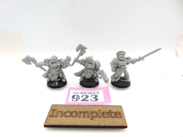 Ultramarines Honour Guard  - Guard and Company Champion