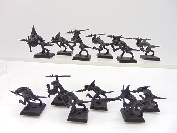 Skinks