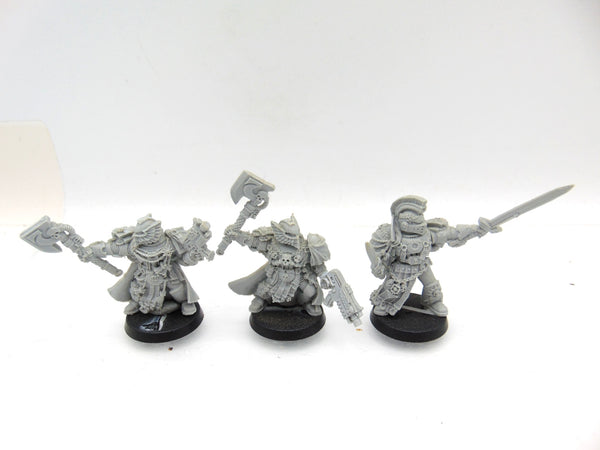 Ultramarines Honour Guard  - Guard and Company Champion