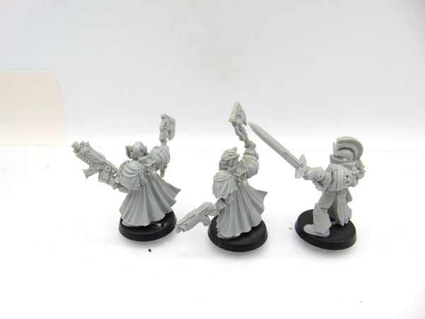 Ultramarines Honour Guard  - Guard and Company Champion