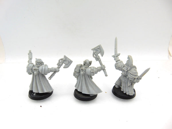 Ultramarines Honour Guard  - Guard and Company Champion